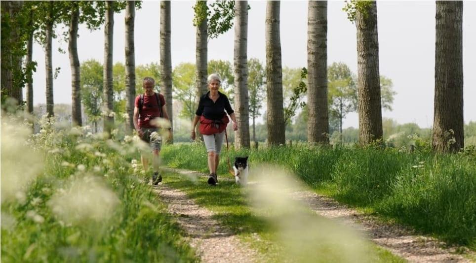 Ibiza Style Heart Of Zeeland, Dog Welcome! Vp021
