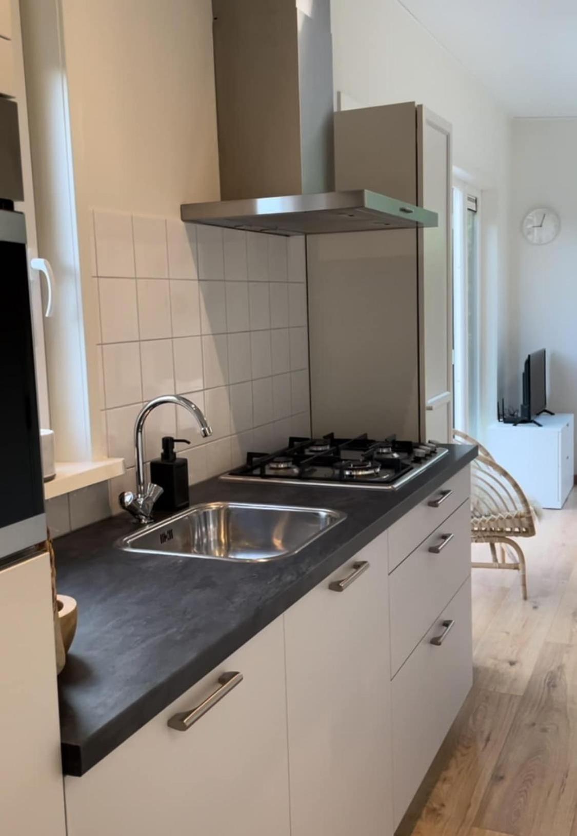 Chalet Ibiza Style Heart Of Zeeland, Dog Welcome! Vp021